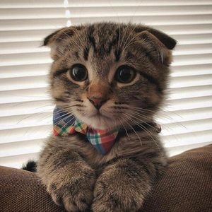 Meet your Posher, Terri